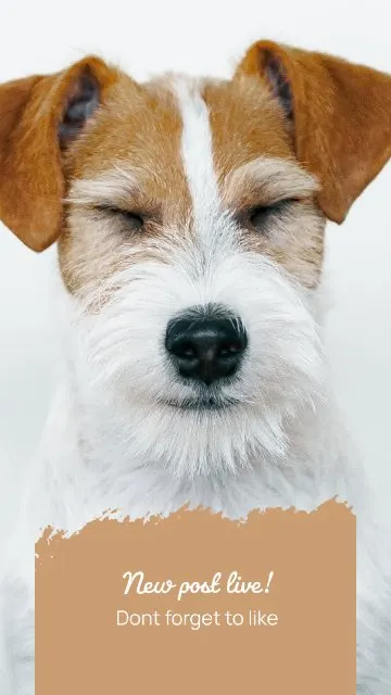 Brush Post Alert