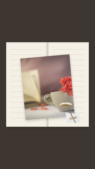 Between the Pages – Scrapbook Instagram story templates