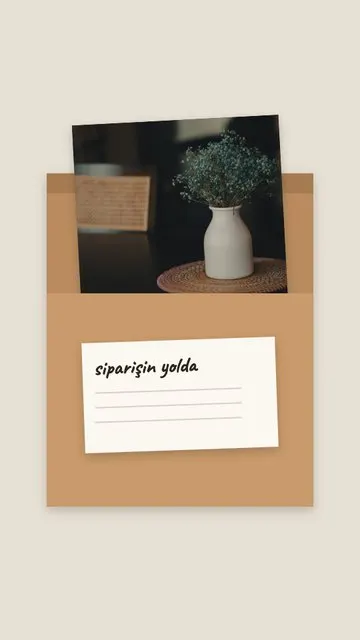 Shipping Box