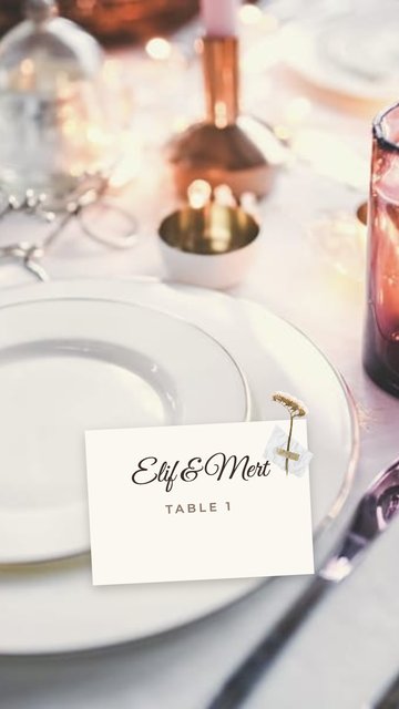 Place Card – Wedding Instagram story templates