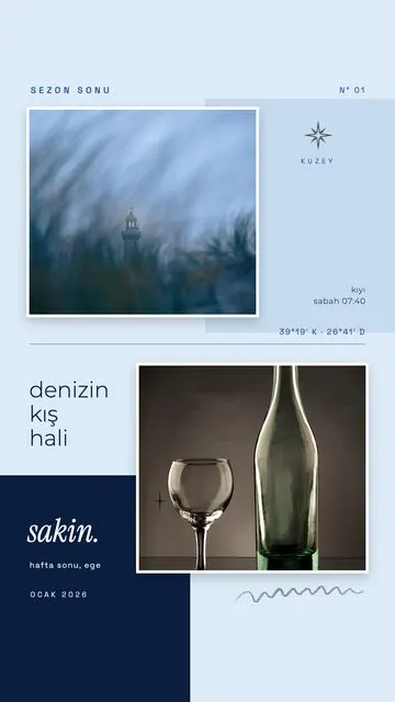 Denizin Kış Hali