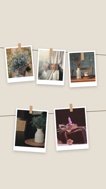Mandallar – Photo Dump Instagram story şablonları